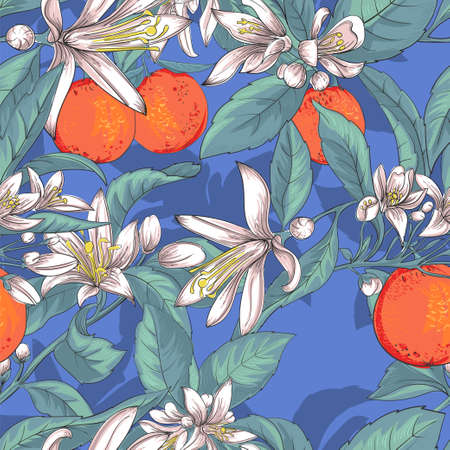 oranges seamless patternのイラスト素材