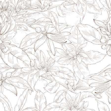 oranges seamless patternのイラスト素材