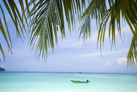 blue beach focus on coconut foreground の写真素材