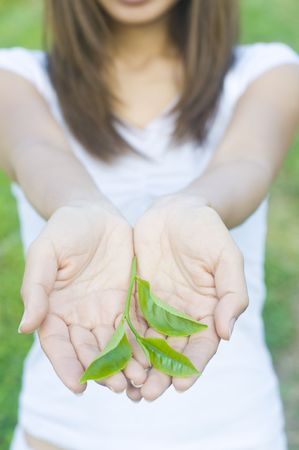 an asian female holding green teaの写真素材