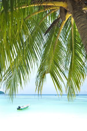 blue beach with coconut as foreground at terengganu island,malaysiaの写真素材