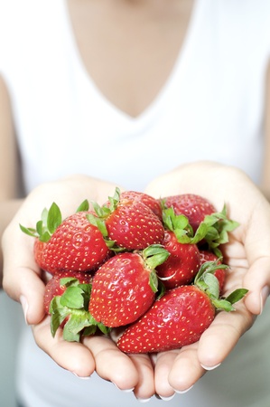 Fresh picked strawberries held over strawberry plants
の写真素材