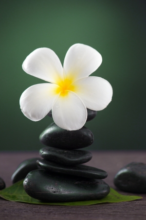Stacked hot stones for massage spa and frangipani with green background

の写真素材