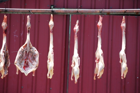 Whole dead raw ducks in preparation for cooking traditional chinese cuisine

の写真素材