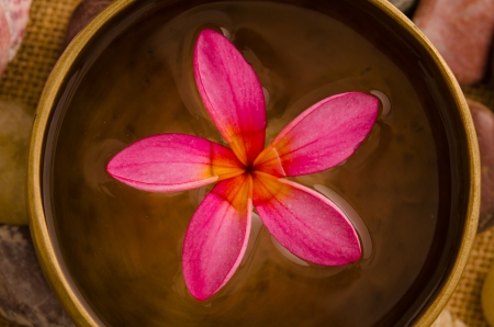 Pink frangipani with pebbles on woven bamboo mat

の写真素材