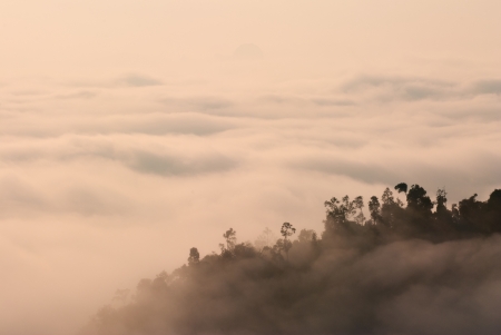 foggy tropical forest landscape in malaysiaの写真素材