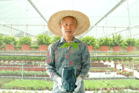 asian senior male farmer in workplaceの写真素材