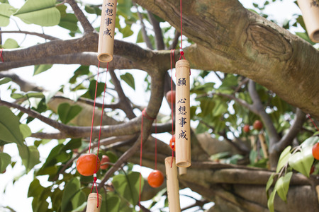 wishing tree is ngong ping villeage, lantau island, hong kong, chinaのeditorial素材
