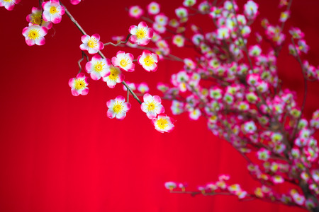 Plum flowers with Red Packet copyspace for chinese new yearの写真素材