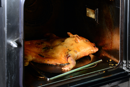 roast pig in ovenの写真素材