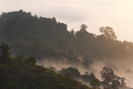 Sunrise of Panorama Hill, Sungai Lembing