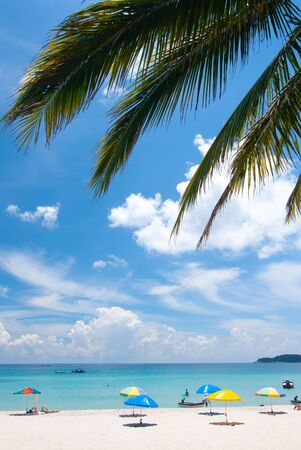Beautiful tropic beach with white sand and crystal clear waters.の写真素材