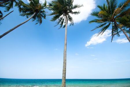 Rantau Abang beautiful beach , Terengganuの写真素材