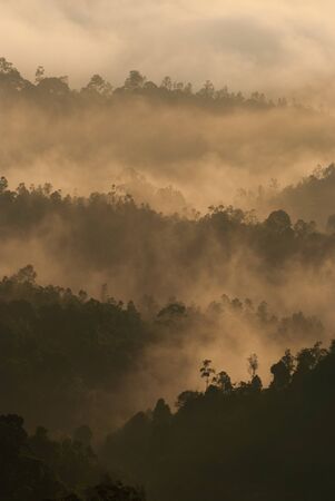 Sunrise of Rainforest, Sungai Lembing
の写真素材