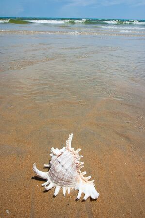 Cherating, beauty beach with sea view in malaysiaの写真素材