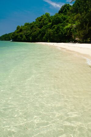  Sapi Island (Pulau Sapi) is the most visited island by tourists in Sabahの写真素材