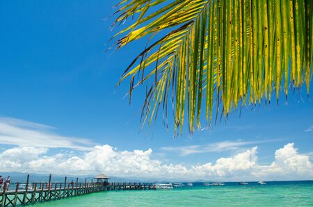  Sapi Island (Pulau Sapi) is the most visited island by tourists in Sabahの写真素材