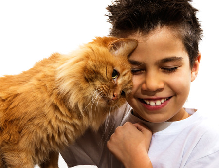 A young boy hugging his orange catの写真素材