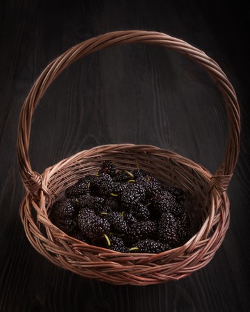 Juicy berries of black mulberry. 
Many vitamins. Berry season.の写真素材