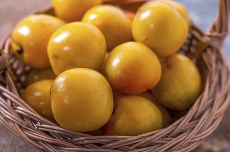 Tasty and healthy berry. Fruit season.の写真素材