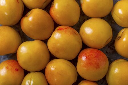 Tasty and healthy berry. Fruit season.の写真素材