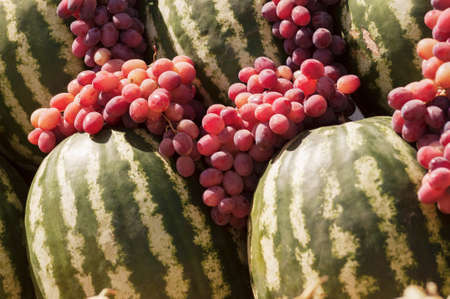 Street market with many fruits. On the street. Sale of watermelons and grapes. Seasonal products.の写真素材