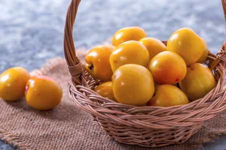 Tasty and healthy berry. Fruit season.の写真素材