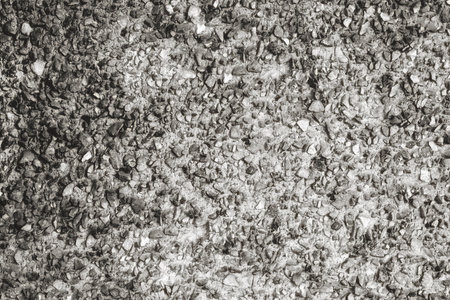 Concrete wall, floor. Porous texture, dark gray color. Rough texture of concrete, putty. concrete surface. textured wall.の写真素材