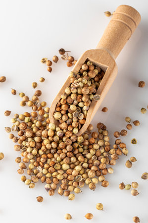 Coriander lies in a wooden scoop. Aromatic coriander used for cooking. Cooking spice.の写真素材
