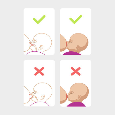 Correct breastfeeding position. Mother feeds baby with breast. Incorrect pose. Mom lactation infant milk.のイラスト素材