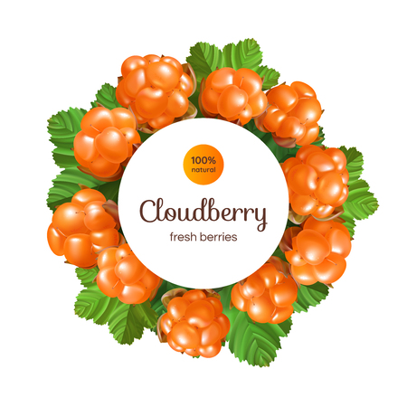 Banner with Cloud berry on white background.のイラスト素材