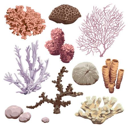 Reef icons set. Corals and sponges. Vector underwater fauna of the ocean.のイラスト素材