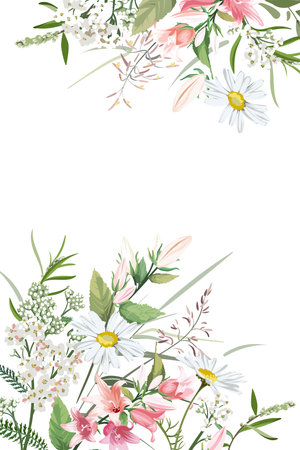 Colorful hand drawn sketch of flowers and grass. Set of plants on a light background. Medical herbs and spice. Frame with wildflowers.のイラスト素材