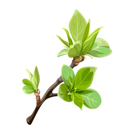 Apple branch with green leaves isolated on a white background. Spring tree. Decorative style.のイラスト素材