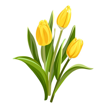 Colorful collection of hand drawn flowers. Yellow Tulips isolated on a white background. Spring bouquet for holidays.のイラスト素材