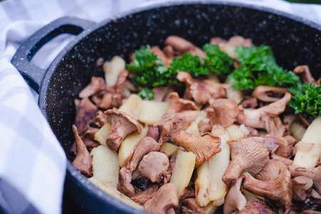 fried Chanterelle or girolle mushrooms or Cantharellus cibarius, with potatoes. fried casserole....