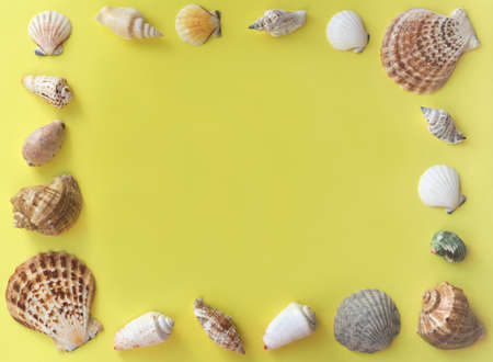frame made of sea shells on yellow background. summer mockup. holiday recreation and vacation concept.の写真素材