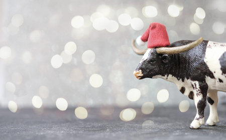 toy ox or bull in red santa hat as symbol of 2021 year. chinese calendar or horoscope. new year card or poster. bull on gray defocused background with bokeh. lights. happy new year concept.の写真素材