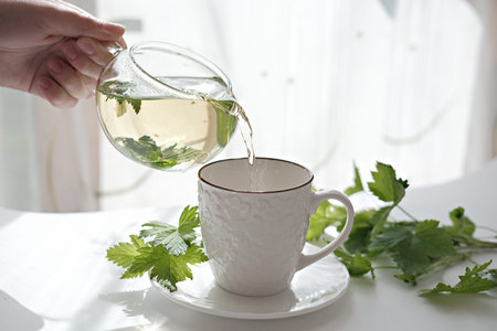 hand holding herbal tea in a glass teapot. pouring into a cup. blackcurrant leaves in a transparent...