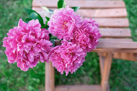 pink peony flowers on a wooden chair in the garden. bright summer bouquet. gardening and flowers...
