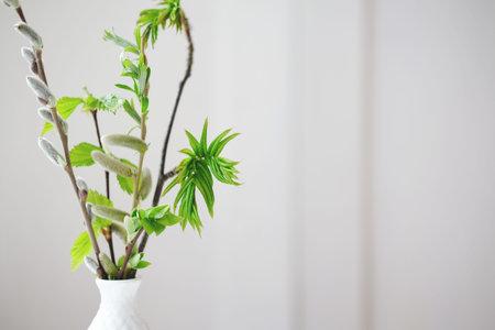 spring leaves and branches in a white vase on a table. fresh and minimal style concept. clean and...