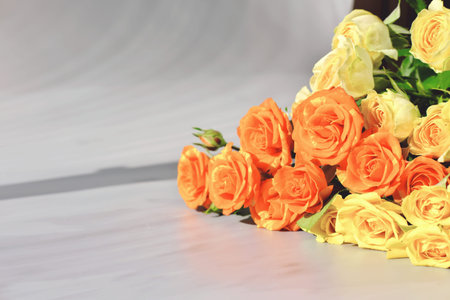 yellow and orange roses on a gray background. trendydirect sunlight. card or poster with copy space...