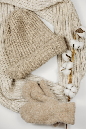 winter knitted accessories. woolen scarf, mittens, beanieの写真素材