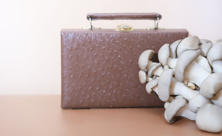 handbag made of mycelium leather, bio based sustainable alternative to leather made of mushroom spores and plant fibers. mushroom textile innovative materials. eco bio-gradable vegan leatherの写真素材