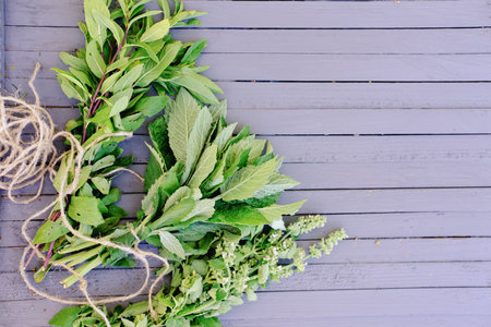 healing herbs grown in a garden. peppermint, cat mint and melissa on a gray wooden table. alternative medicine concept. herbs for health and beauty. traditional remedy herbs.の写真素材