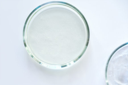 glass Petri dishes witn agar substrat on a laboratory table. sterile lab dishes ready for tests....