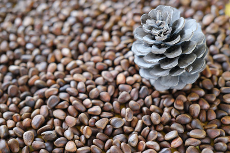 unpeeled cedar nuts and a pine cone background. rich in unsaturated fats food for brain boost and...