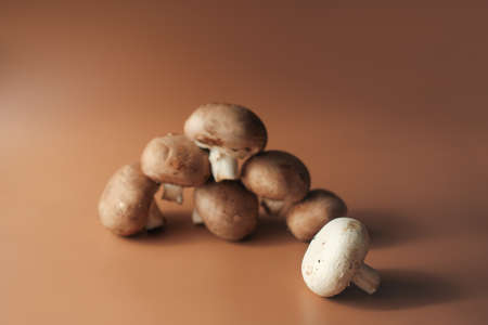 Royal mushroom champignons on beige background. whole raw cultivated brown mushrooms. selective focus. vegetarian food. high protein meal.の写真素材