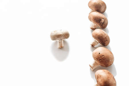 royal mushrooms on a white background. champignons as vegan meal protein source. high fiber food. selective focus.の写真素材