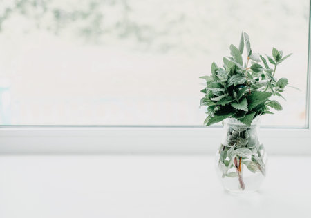 Glass vase with green plants on the windowsill, blurred background. Spring and summer kitchen decor with green branches. fragrant and aromatic seasonal herbs. toned photo.の写真素材